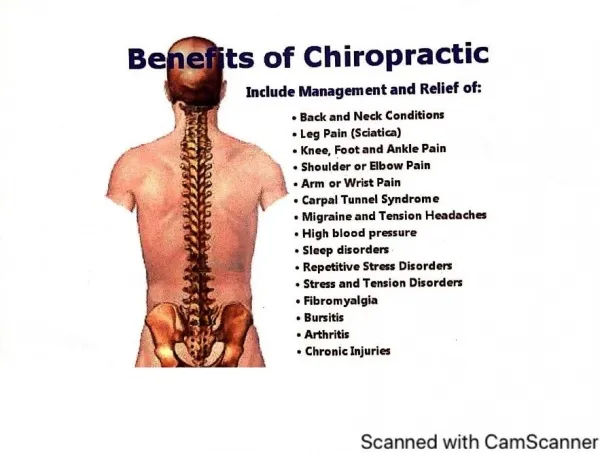 Chiropractor Specialists