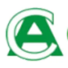 Consol Associates