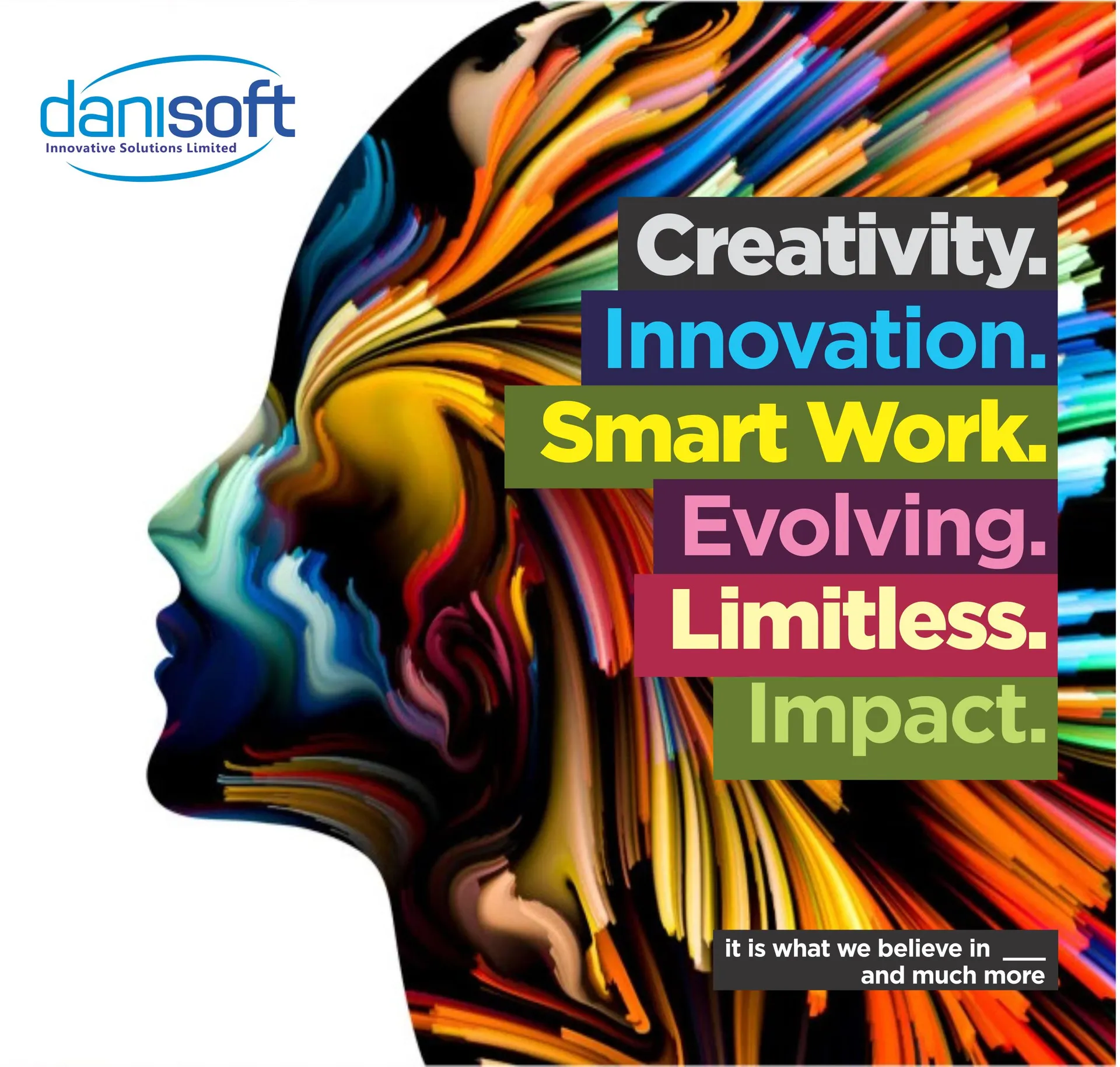 Danisoft Solutions