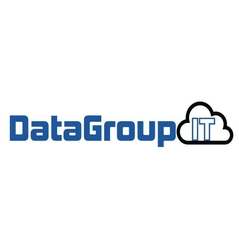 DataGroupIT logo