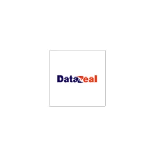 Datazeal Global Concept logo