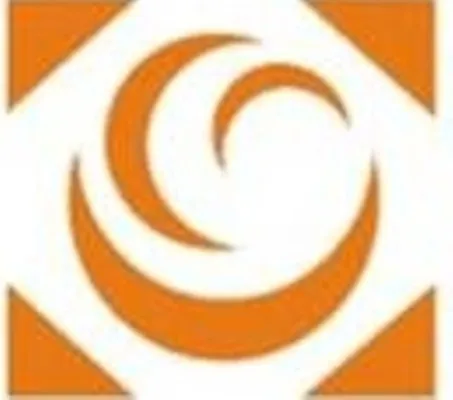 Debravid Solutions Ltd logo