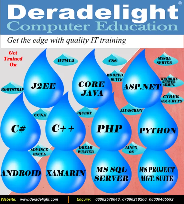 Deradelight Computer Education logo