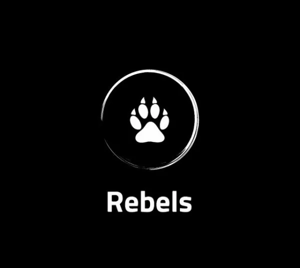 Derebels_Records logo