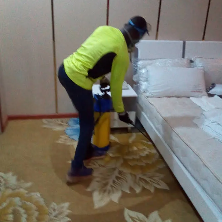 Dewklin Cleaning And Fumigation Services