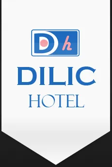 Dilic Hotel Limited