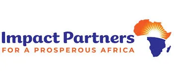 Direct Impact Consulting