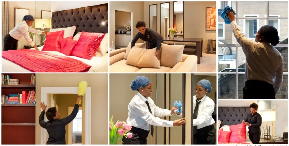 Divino Cleaning Company And Home Service