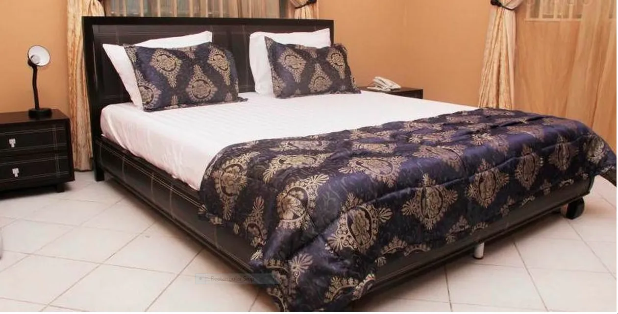 Dixie Suites Lagos