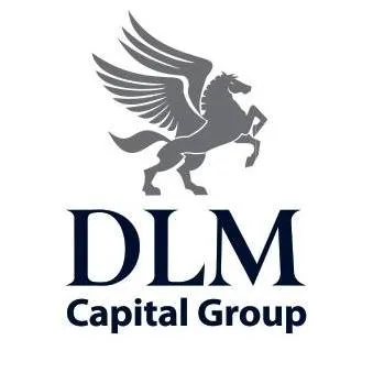 DLM Capital Group logo