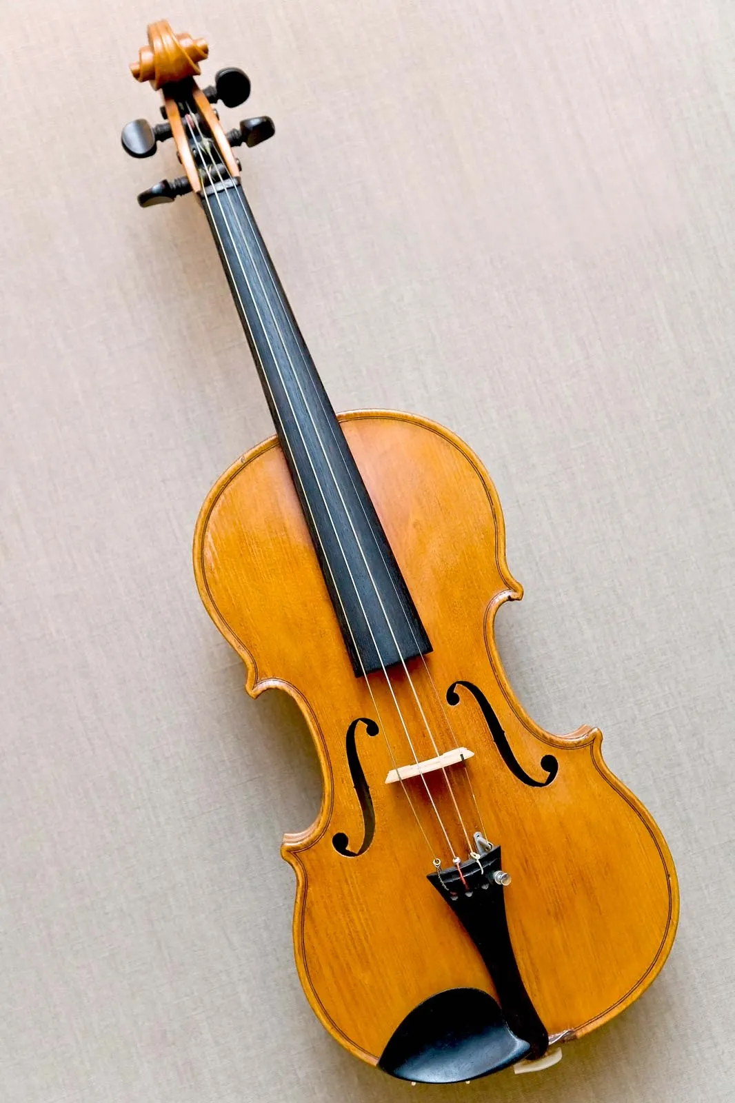 Easy Law Musical Instrument