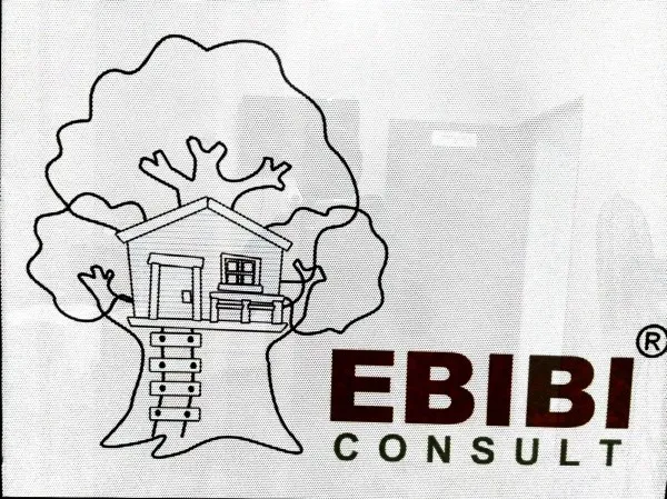 Ebibi Consult