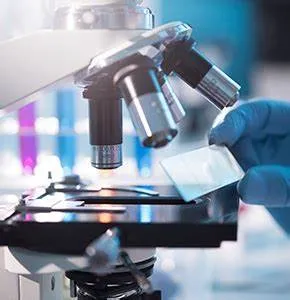 Edua Memorial Diagnostic Lab
