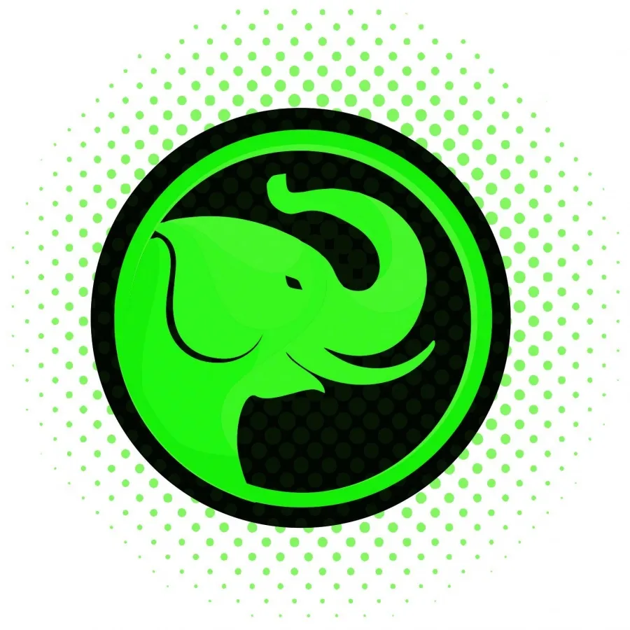 Egoras logo