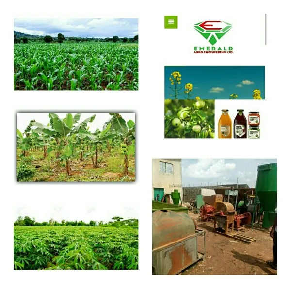 Emeraldagro Nig Limited
