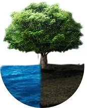 EnviroHAM