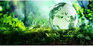 Environmental Resources Managers Limited ERML