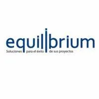 Equilibrium Media Solutions
