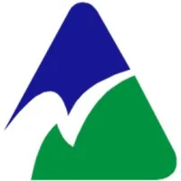 Excel Professional Services