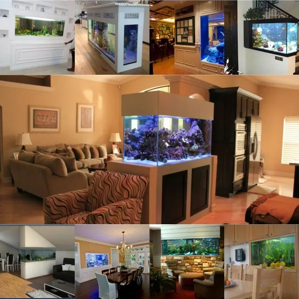 Exotic Aquariums Nigeria