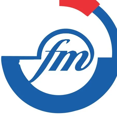 FeMish IT Solutions logo