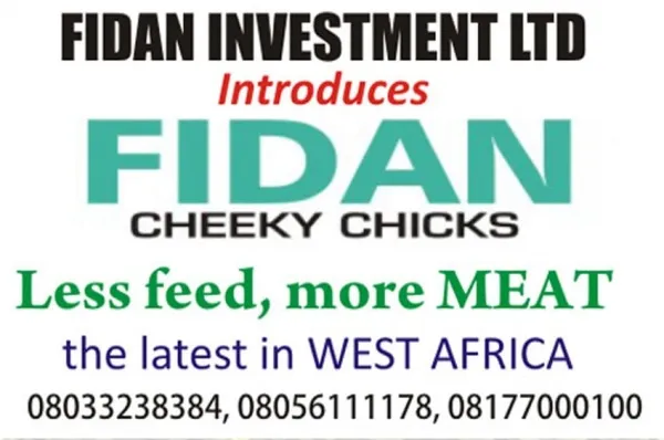 Fidan Investments Nigeria Limited