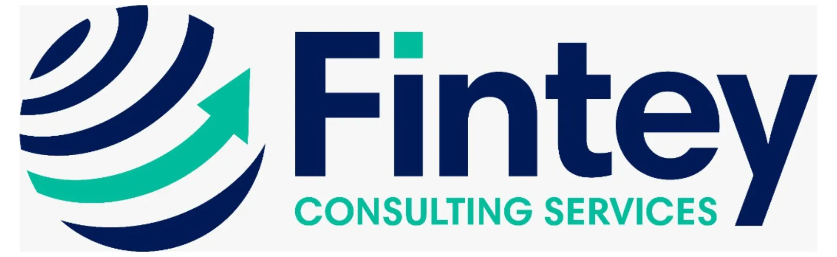 Fintey Consulting Services