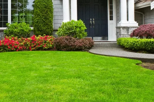 First Impression Landscaping Company
