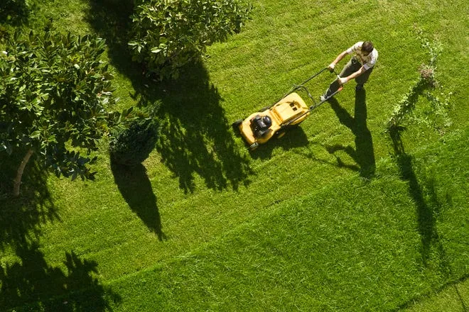 Folly Landscaping & Tree Maintenance Services