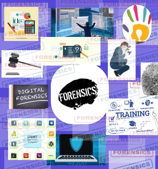 Forensic System Solutions Ltd