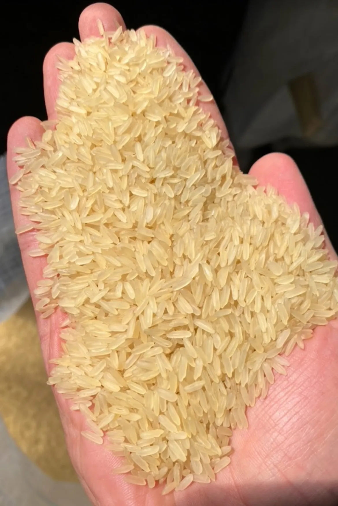 Fortune Rice mill