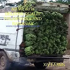 Fourteen Farms