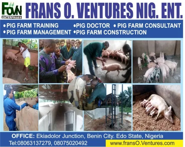Frans O. Ventures Nig. Ent. logo
