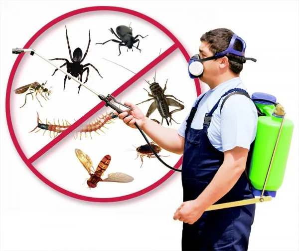 Fumigation Experts Nigeria