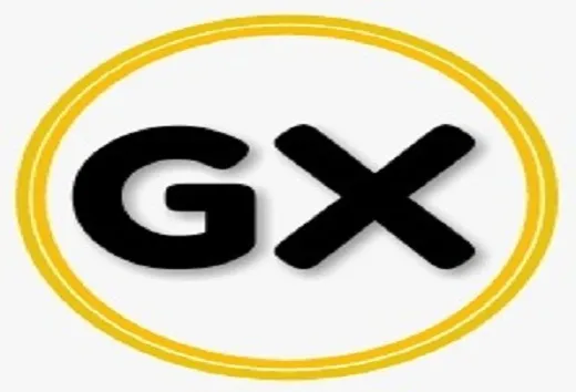 G-lynx Nig, LTD logo