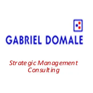 Gabriel Domale consulting