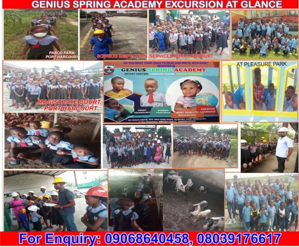 Genius Spring Academy