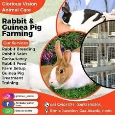 GLORIOUS VISION FARM