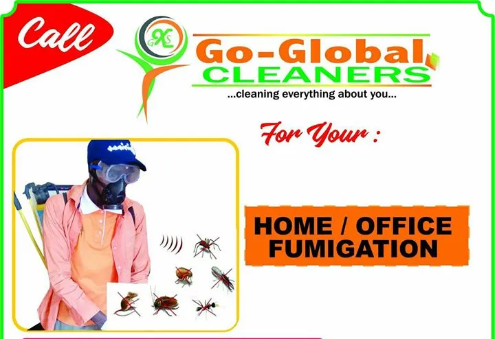 Go-Global Cleaners