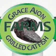 GraceAion Investment Limited