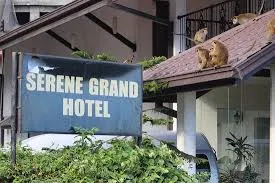 Grand Serene Hotel