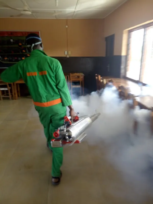 Greenland Bed Bug Fumigation Services