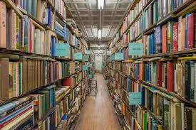 Hadmus Books And Stores