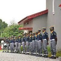 Halogen Group
