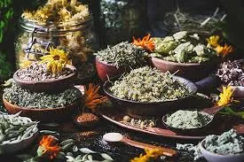 Herb Seller Healing Centre