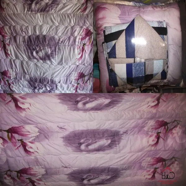 House of David Interiors