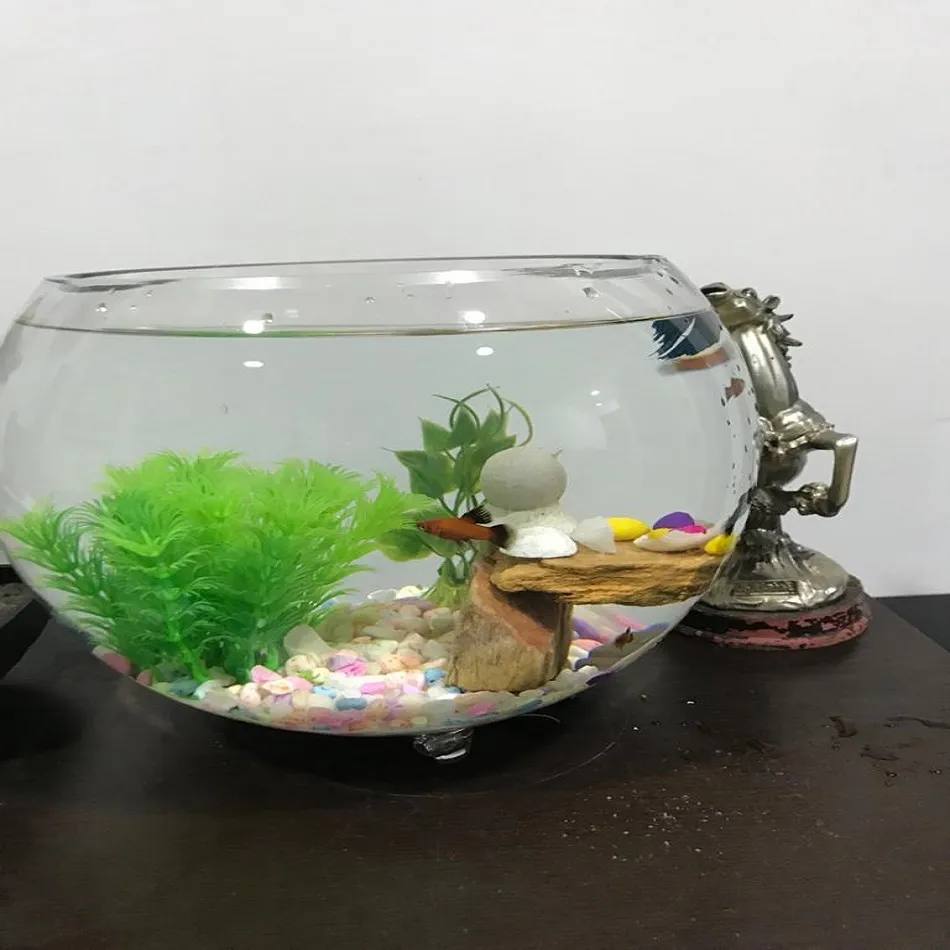 Ibadan Aquariums