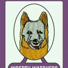 Indepth Watchers Security Services Limited