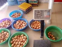 Ipedi Farm Ventures