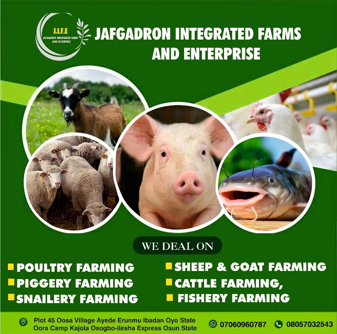 Jafgadron Integrated Farms and Enterprise